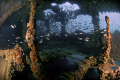   INSIDE BARON GAUTSCH WRECK  